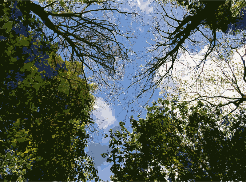 Lichtscheid Forest Again