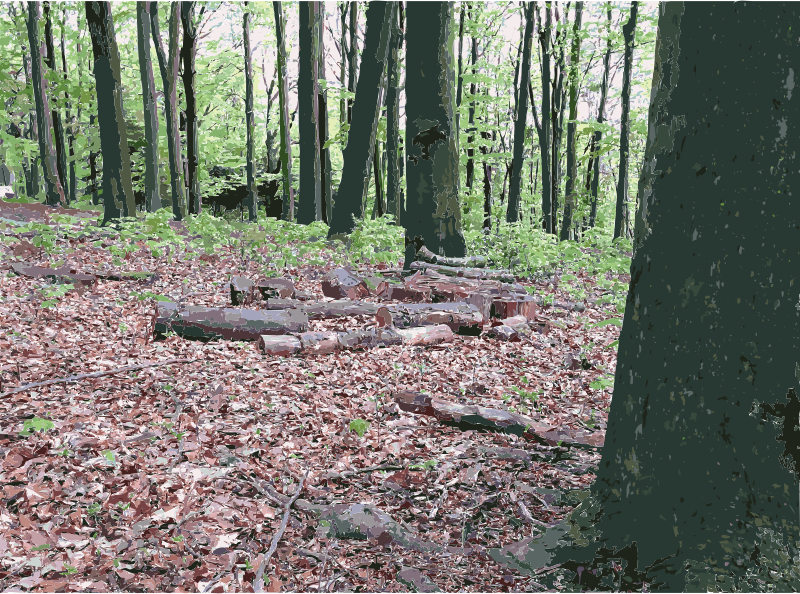 Sculpture Park Waldfrieden 1