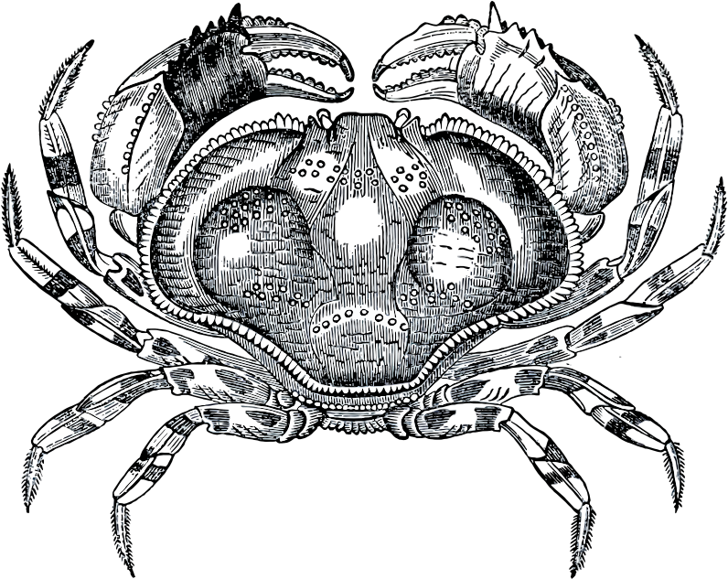 Grayscale Crab