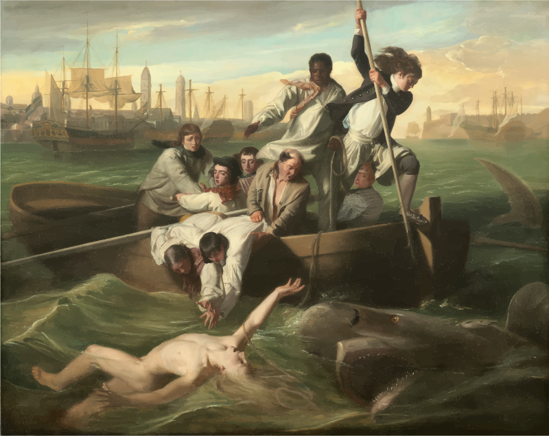 Watson And The Shark 1778