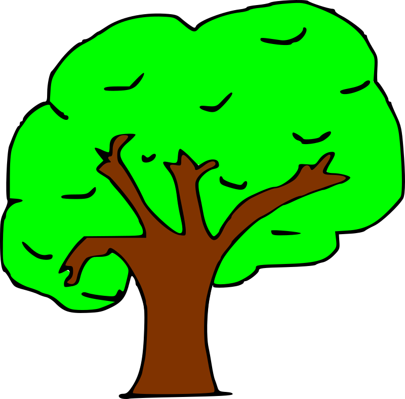 Arbol