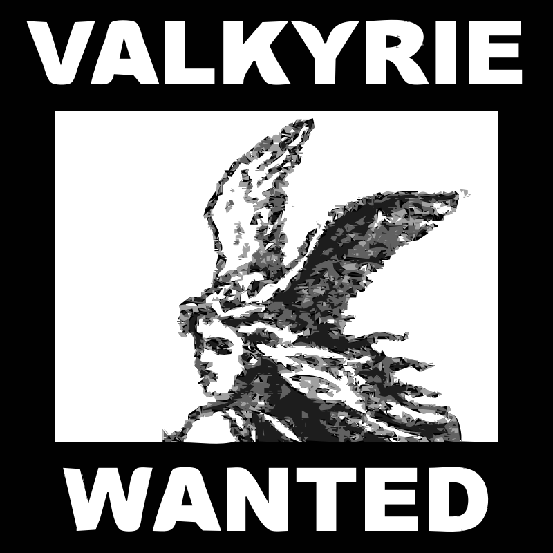 [request] Character 15 - VALKYRIE