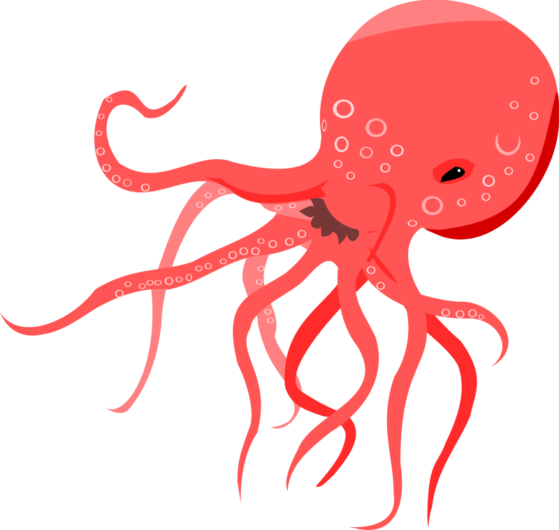 Red Octopus