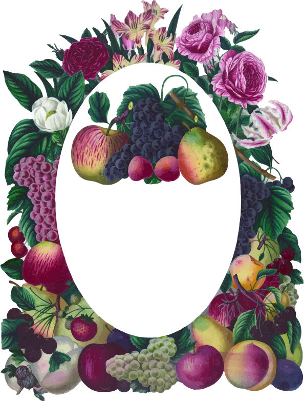 Vintage Floral And Fruit Frame