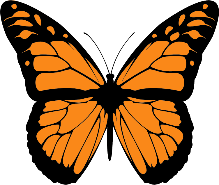 Monarch Butterfly