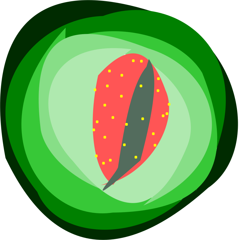 Fruit Layer