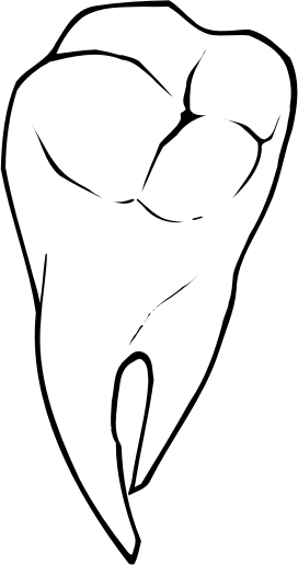 Raseone Tooth