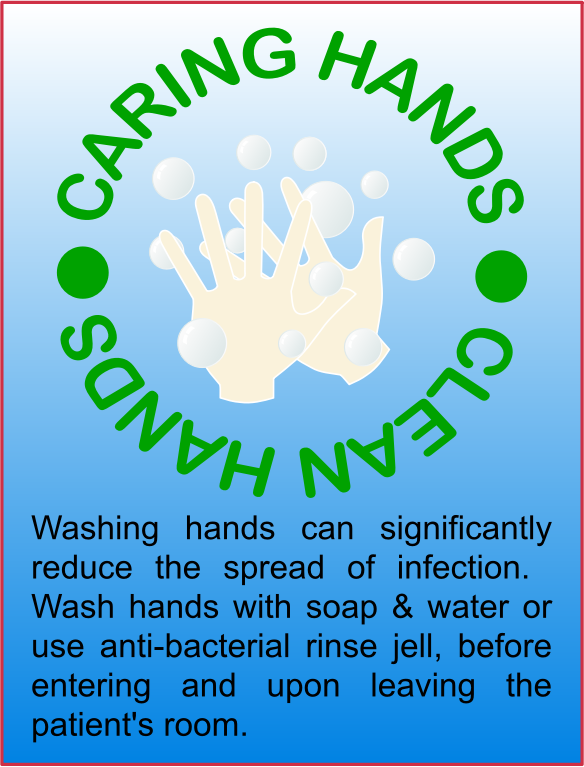 Wash Hands