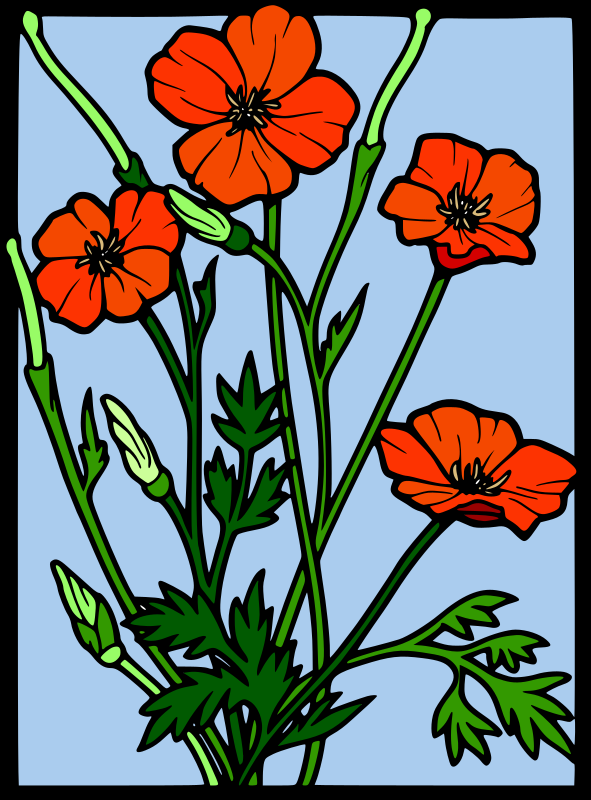 Coloured Poppy stained glass 