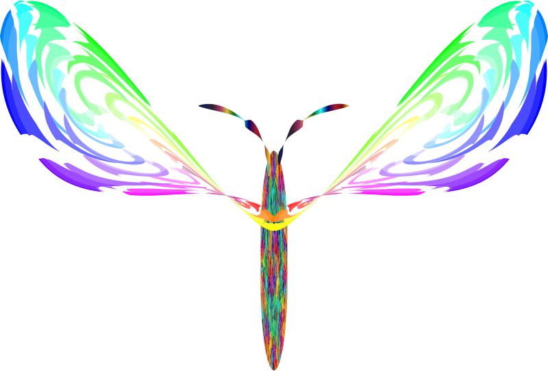 Neo Butterfly