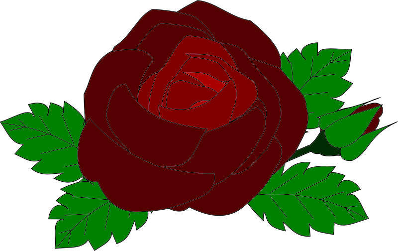 Red Rose