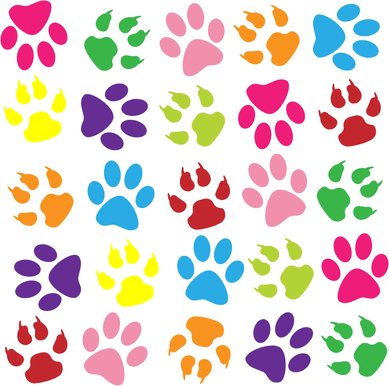 Colorful Paw Prints Pattern Background