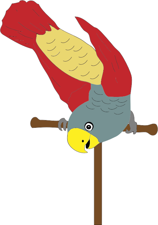 Colorful Parrot On Perch