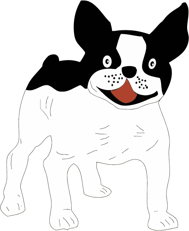 Black And White Dog