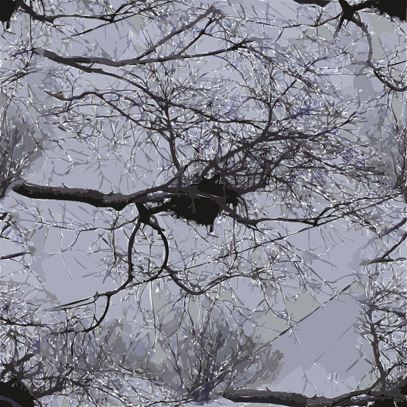 bird nest branches power lines berkeley