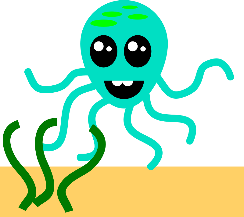 Octopus