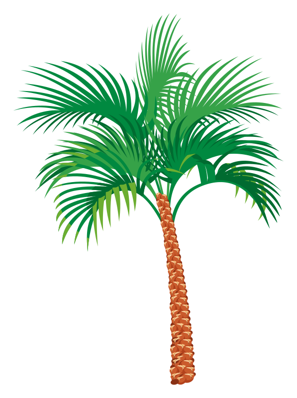 Palm tree