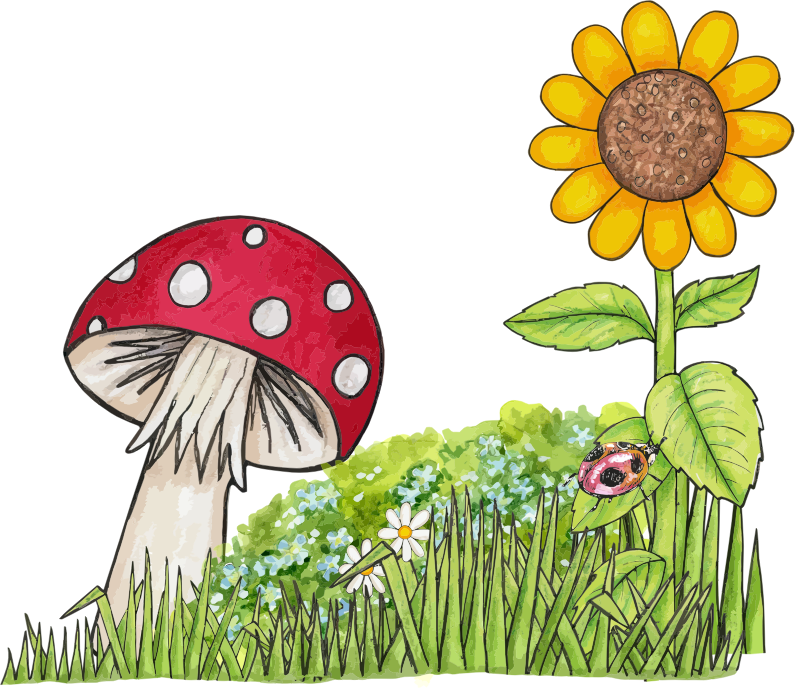 Toadstool Scene