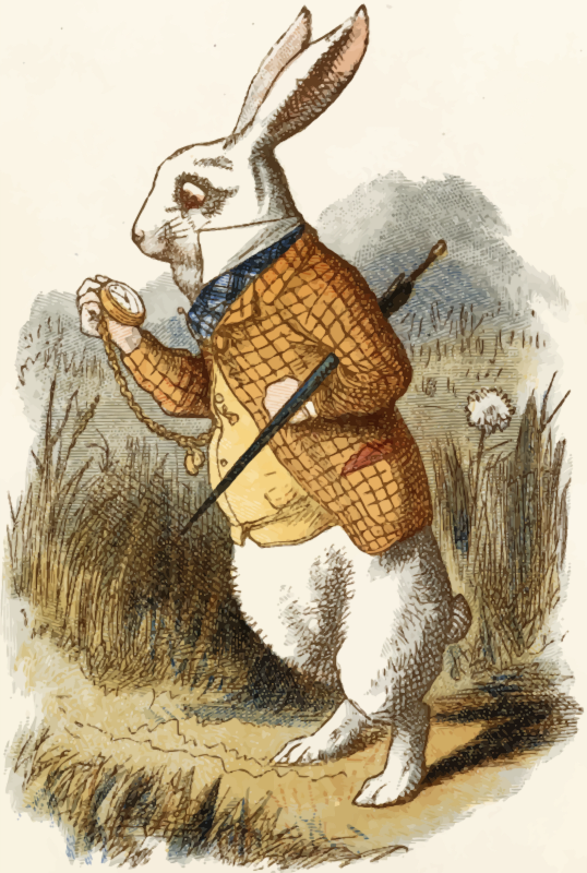 The white rabbit (colour)