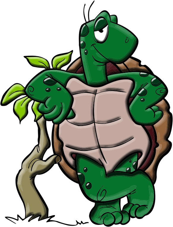 Cartoon Turtle