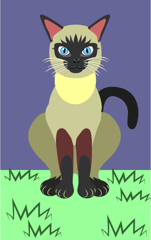 Siamese Cat