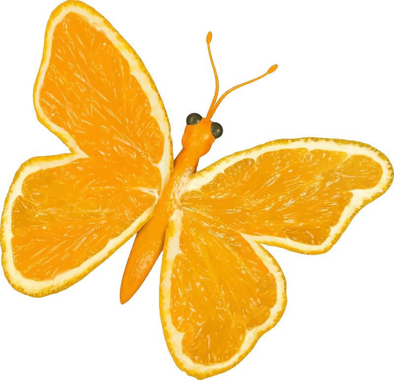 Citrus fruit butterfly (orange)