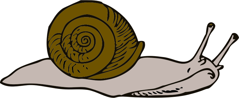 snail