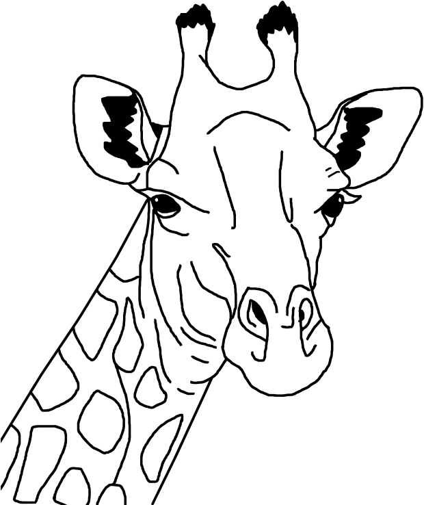 Giraffe Line Art