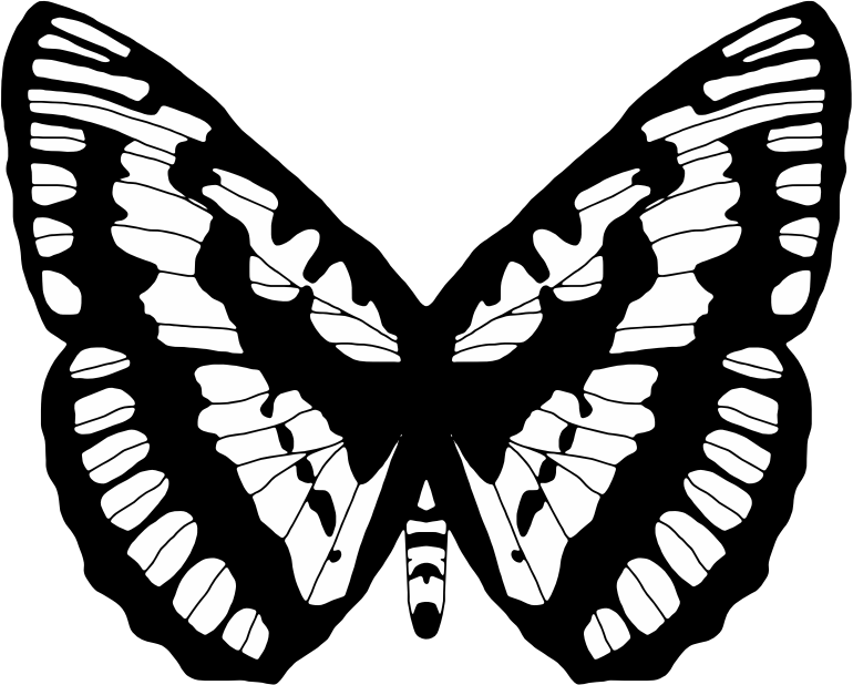 Black And White Butterfly 2