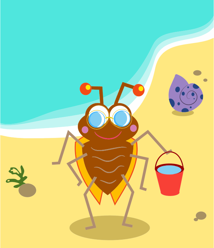 Beach Bug