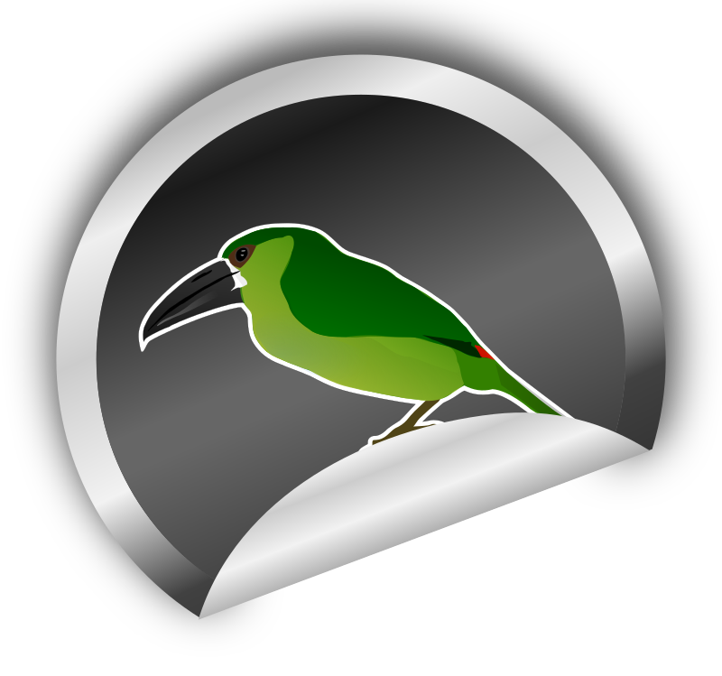 Toucanet on silver sticker