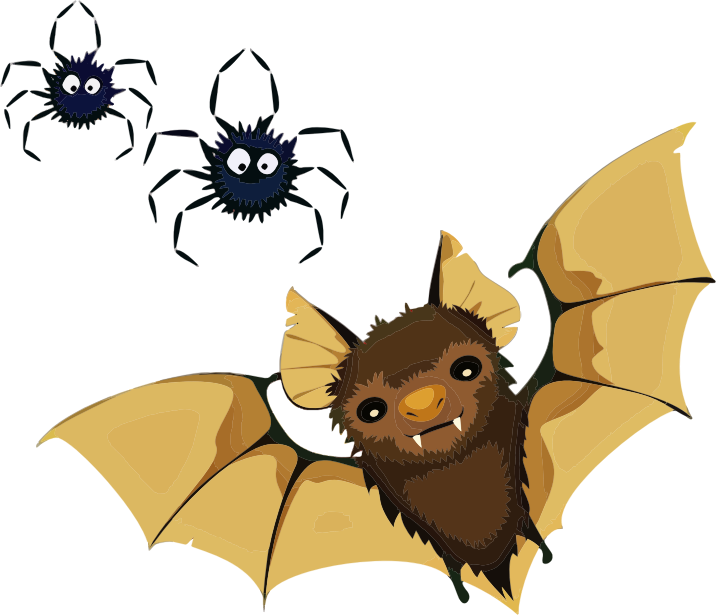 Vampire Bat And Spiders