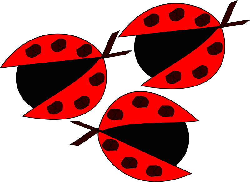 ladybugs