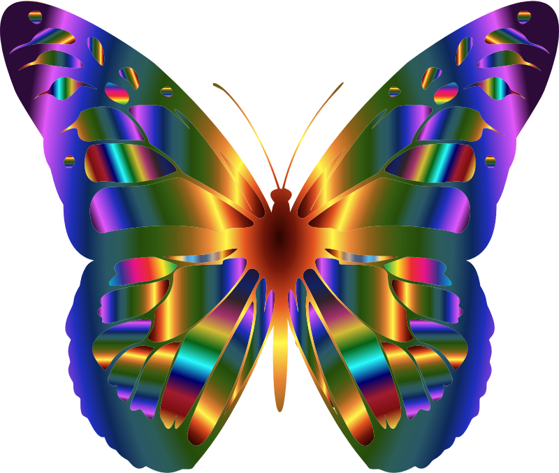 Iridescent Monarch Butterfly 2