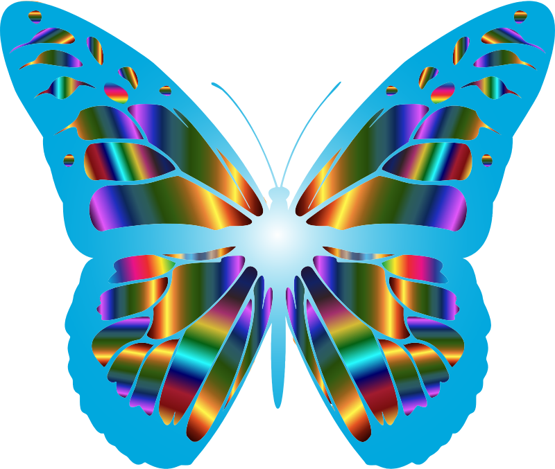 Iridescent Monarch Butterfly 8