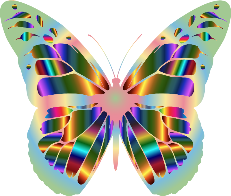 Iridescent Monarch Butterfly 17