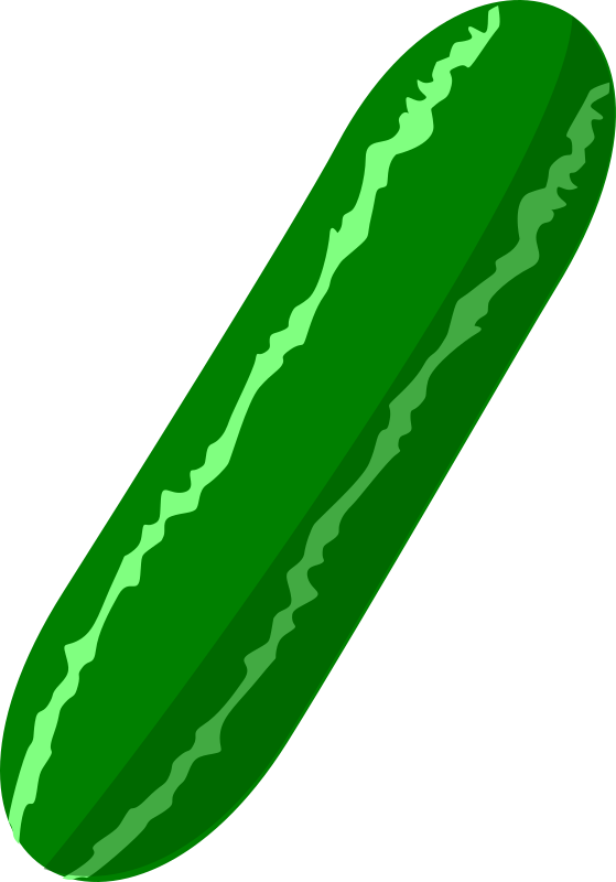 Cucumber