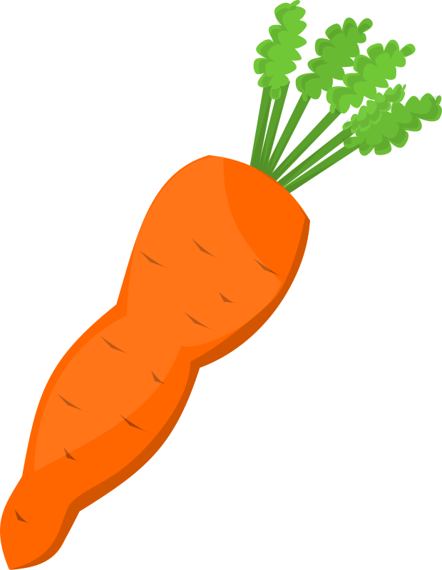 Carrot