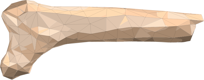 Polygonal Bone