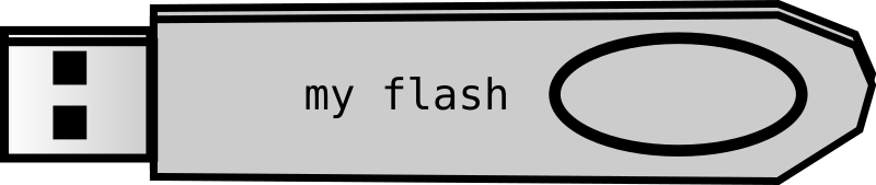 flash disk