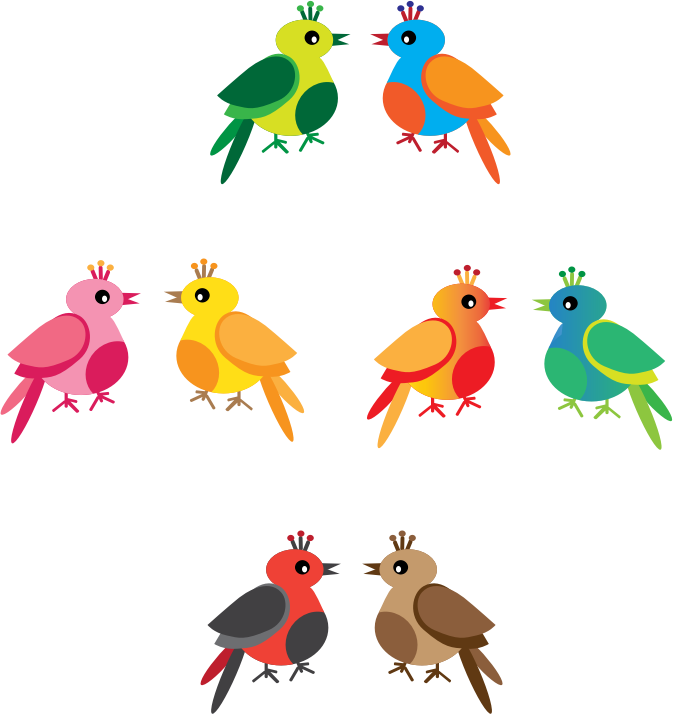 RAINBOW BIRDS