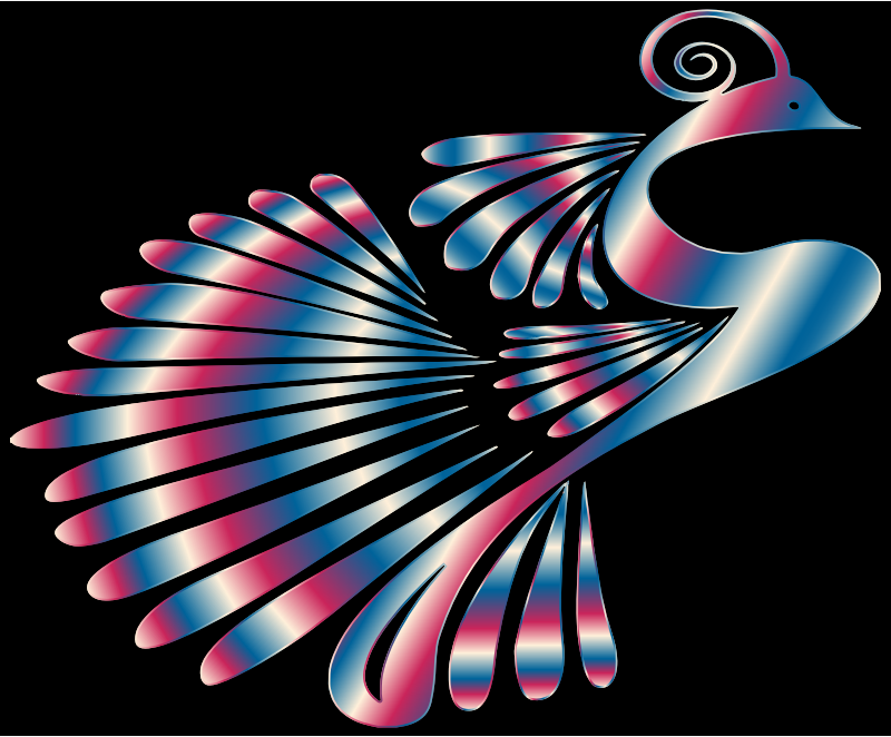 Colorful Stylized Peacock 12