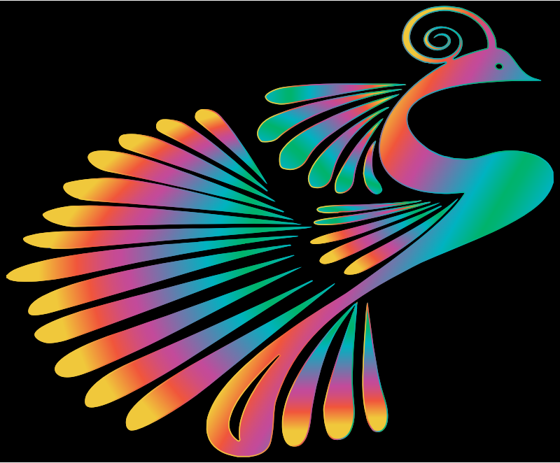 Colorful Stylized Peacock 15