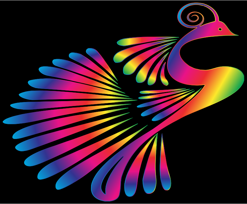 Colorful Stylized Peacock 16