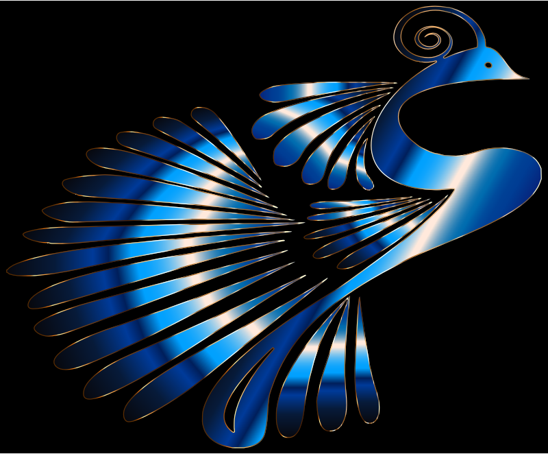 Colorful Stylized Peacock 19