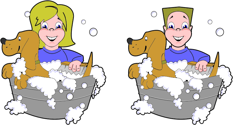 Girl And Boy Washing Dogs