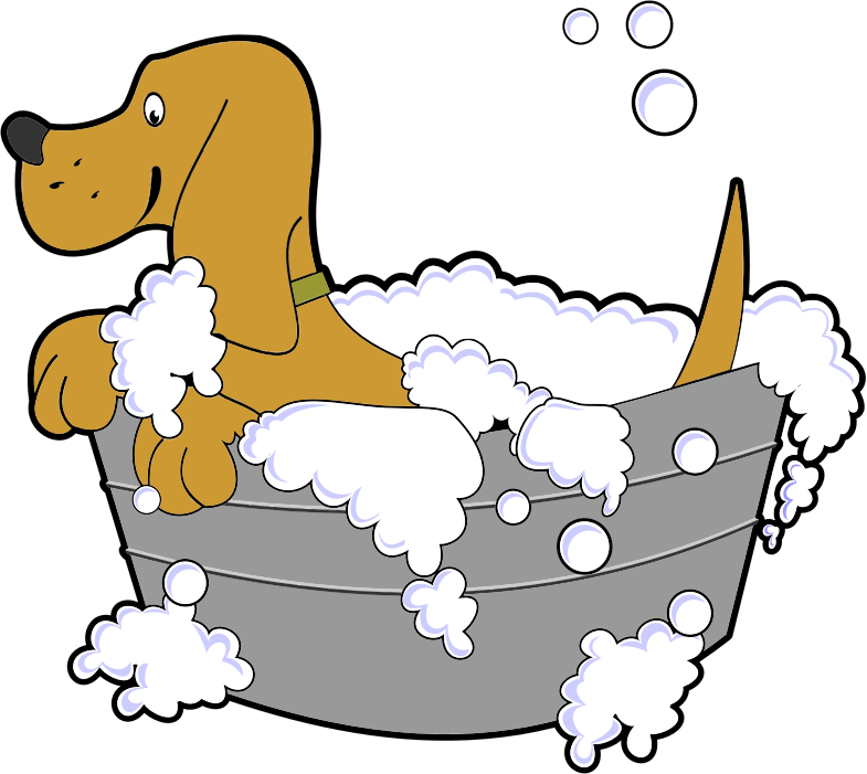 Dog In Washing Tub