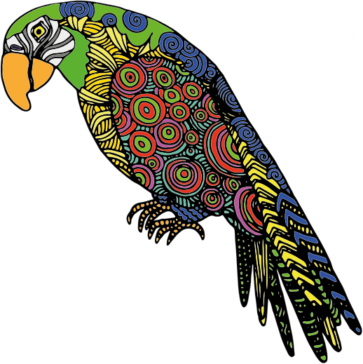 Detailed Parrot