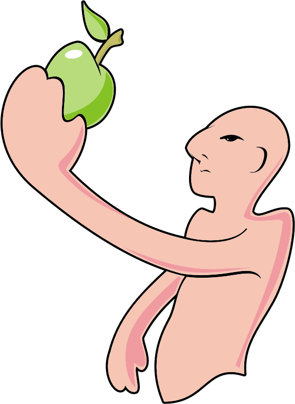 Bald Man And The Apple