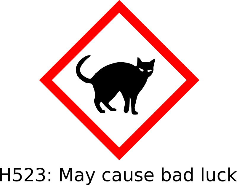 Black cat hazard